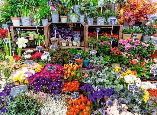 Flower Market, France 500pcs