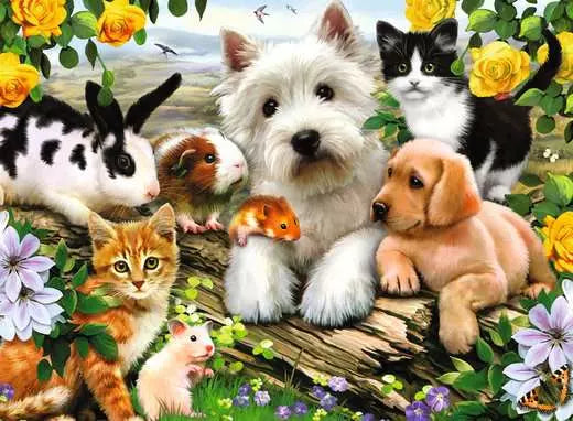 Happy Animal Buddies 300pcs