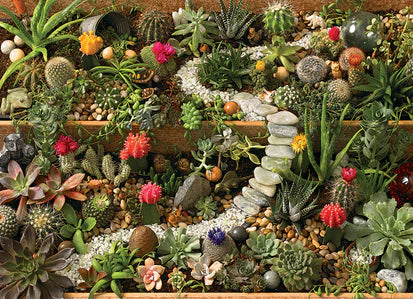 Succulent Garden 1000pcs