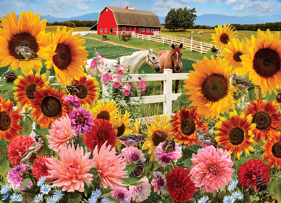 Sunflower Farm 1000pcs