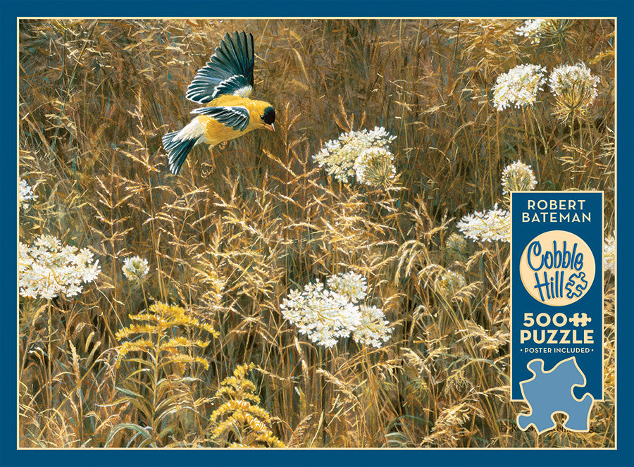 Queen Anne's Lace and American Goldfinch