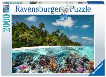 A Dive in the Maldives 2000pcs