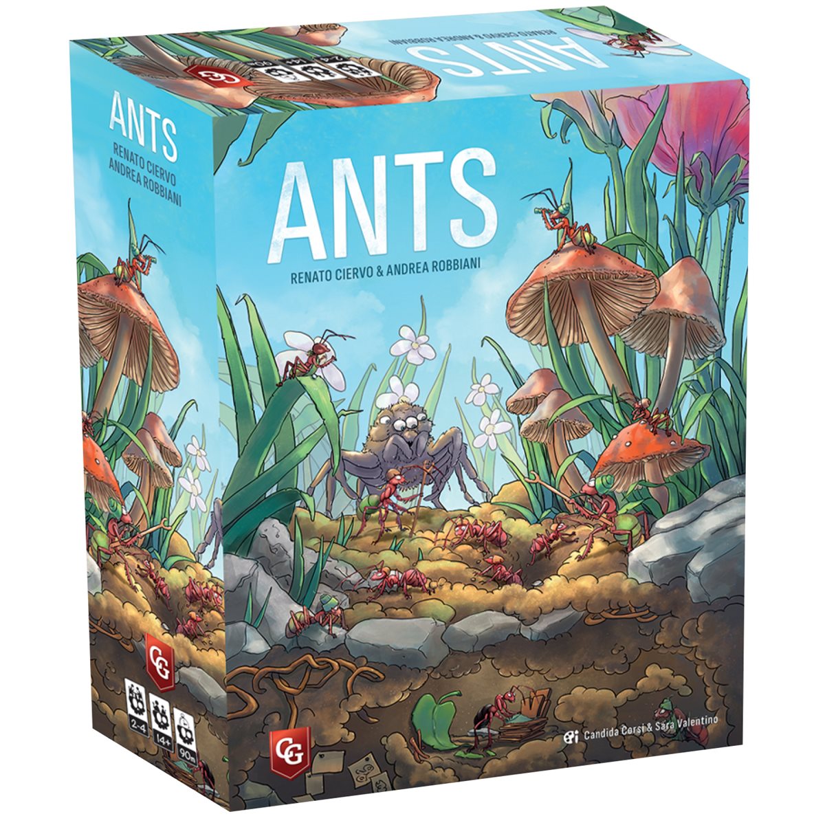 Ants **Pre-Order**