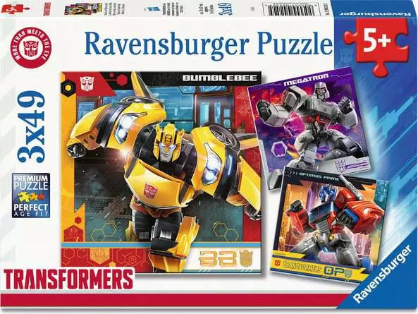 Matrix of Leadership Transformers - 3x49 Pcs