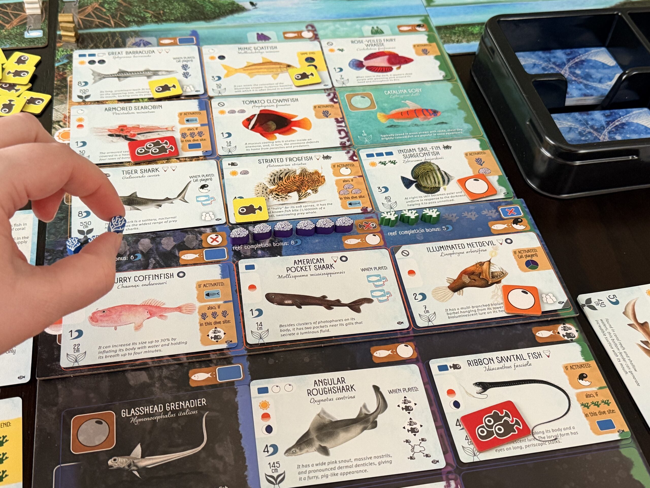 Finspan: Sharks & Reefs Expansion **Pre-Order**