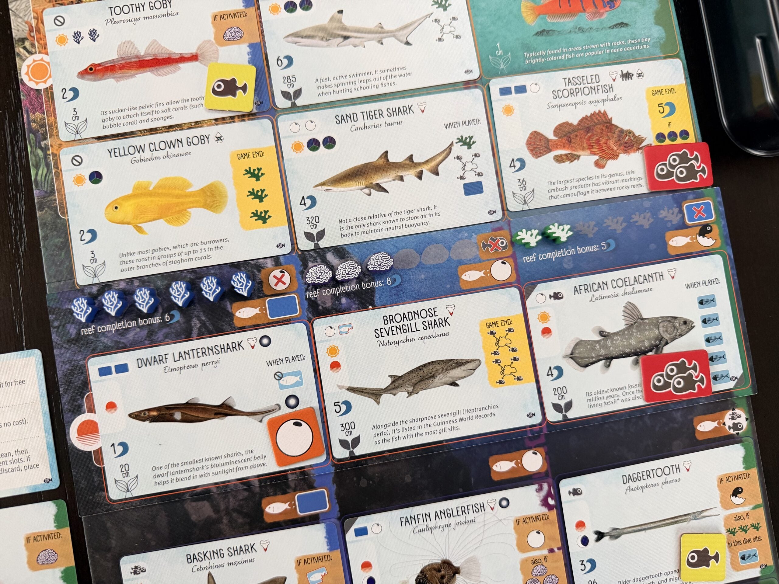 Finspan: Sharks & Reefs Expansion **Pre-Order**
