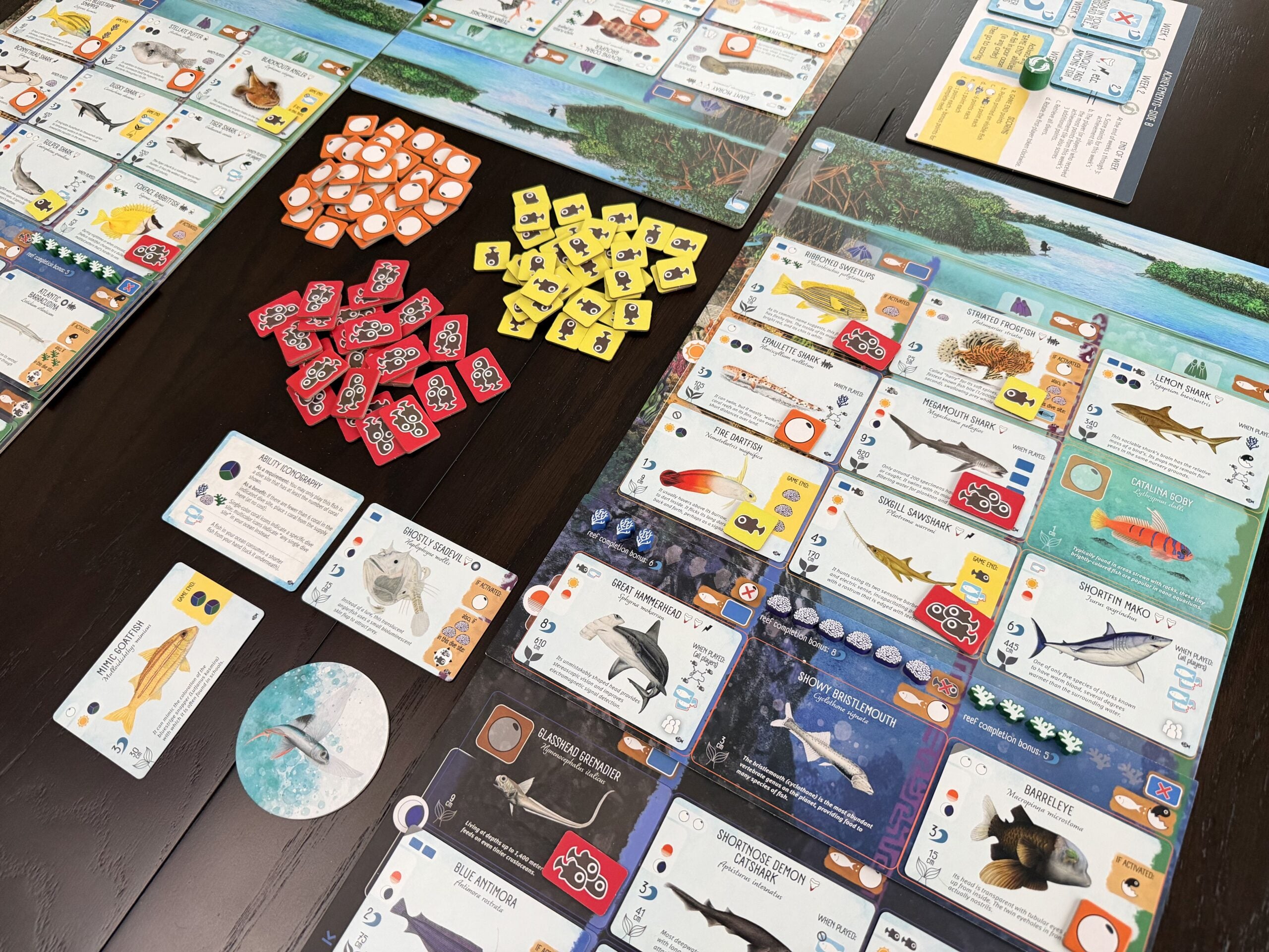 Finspan: Sharks & Reefs Expansion **Pre-Order**