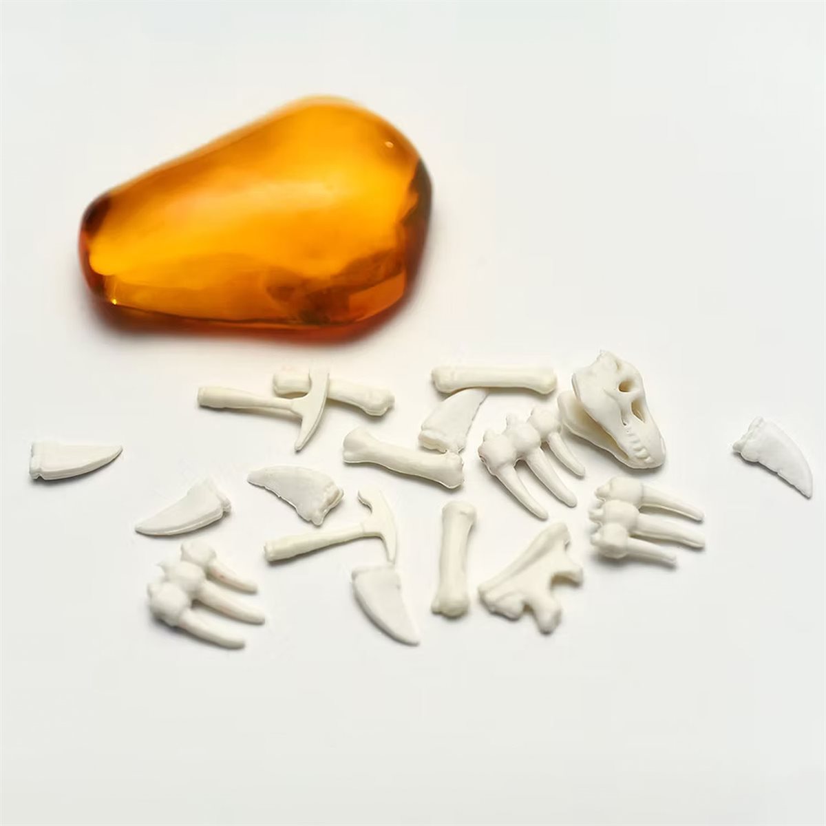 Fossilis **Pre-Order**