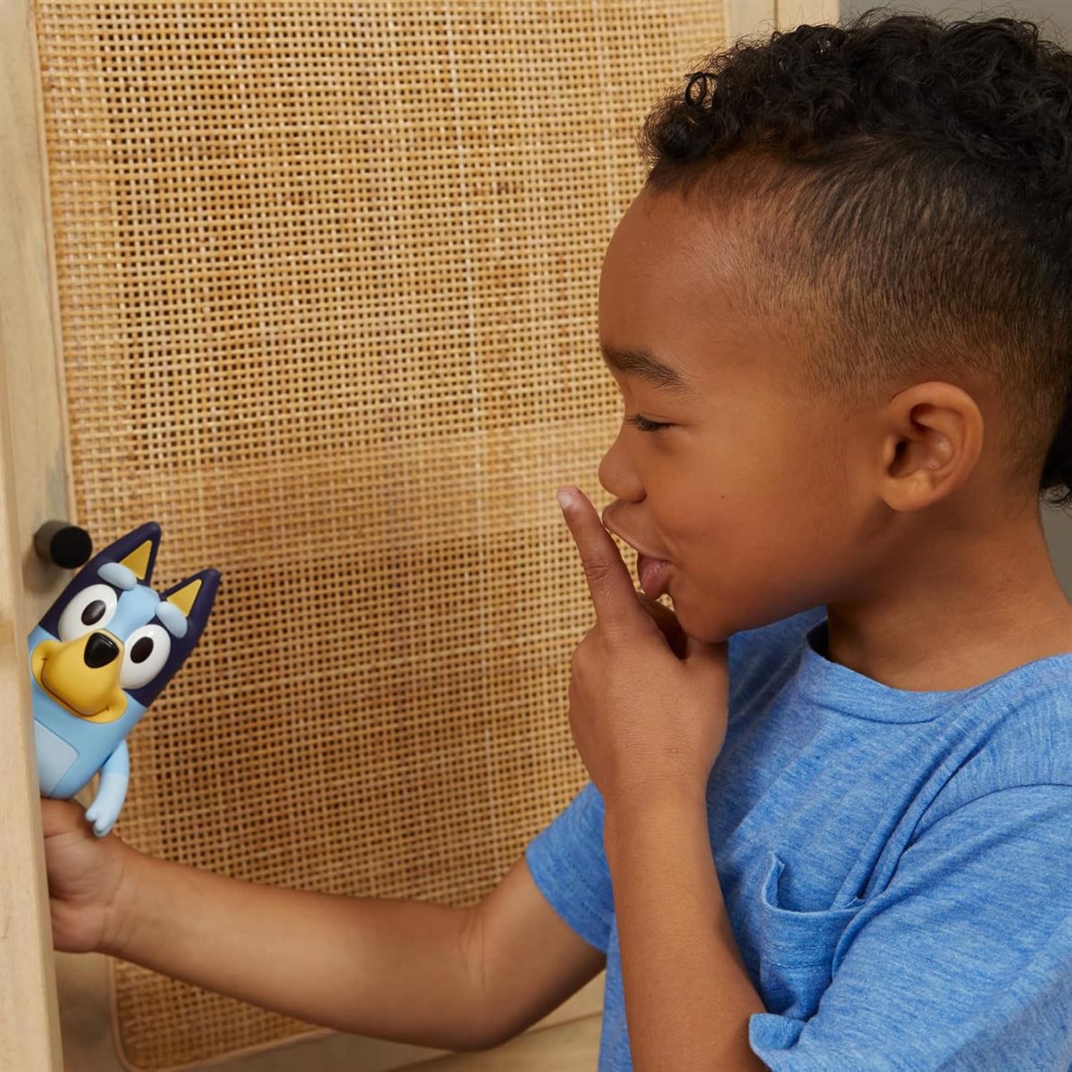 Bluey: Hide & Seek