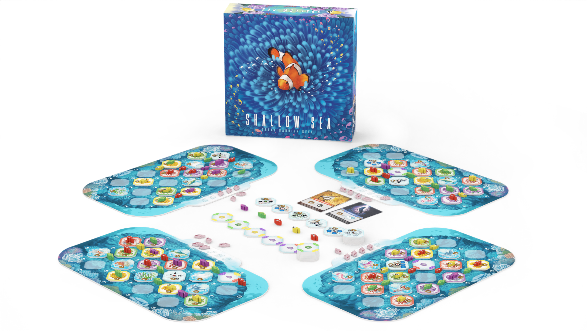 Shallow Sea **Pre-Order**