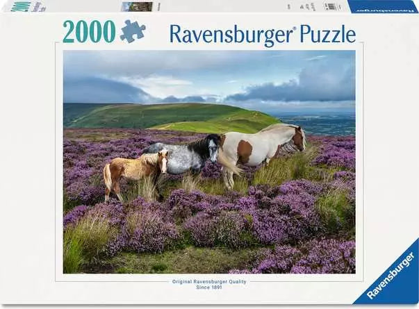 Wild Horses in the Heather 2000pc