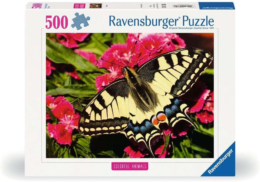 Butterfly 500pcs