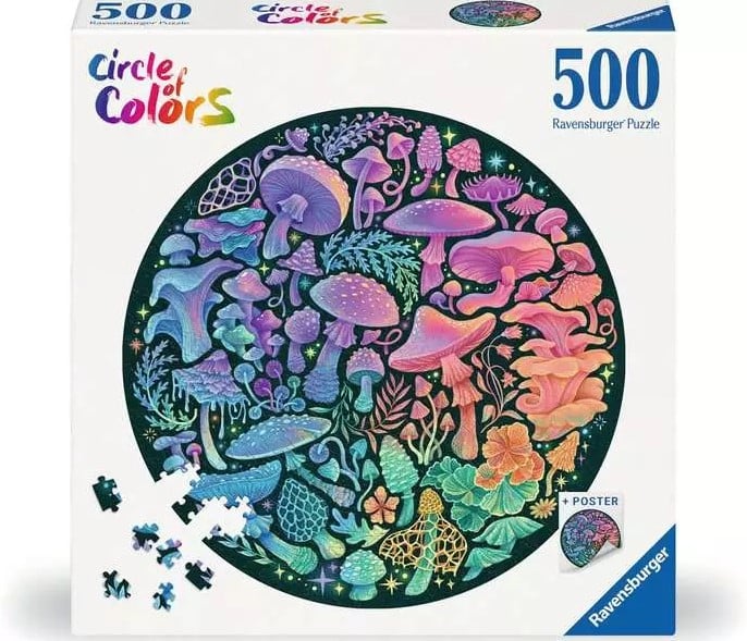 Circle of Colors - 500 pcs