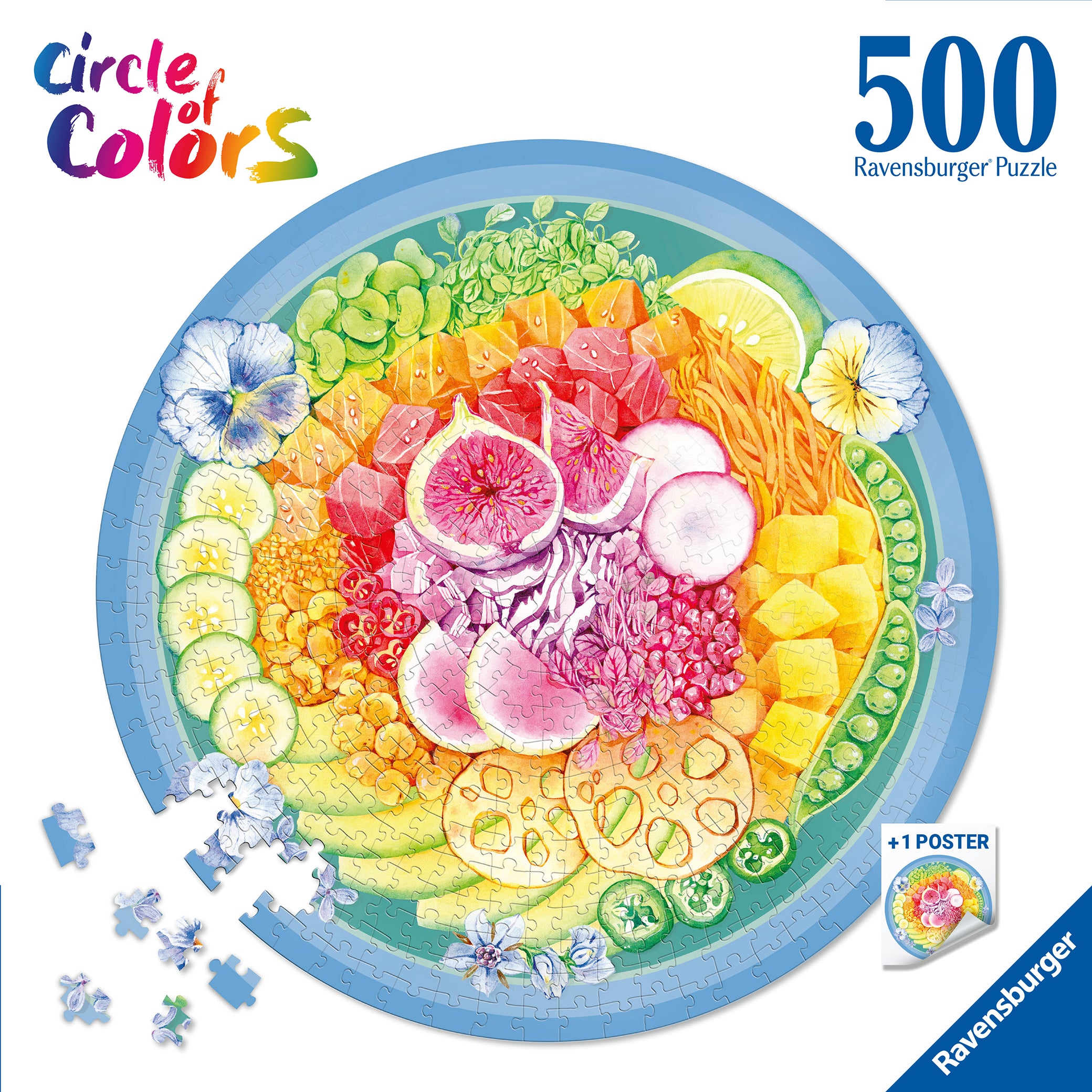 Circle of Colors - 500 pcs