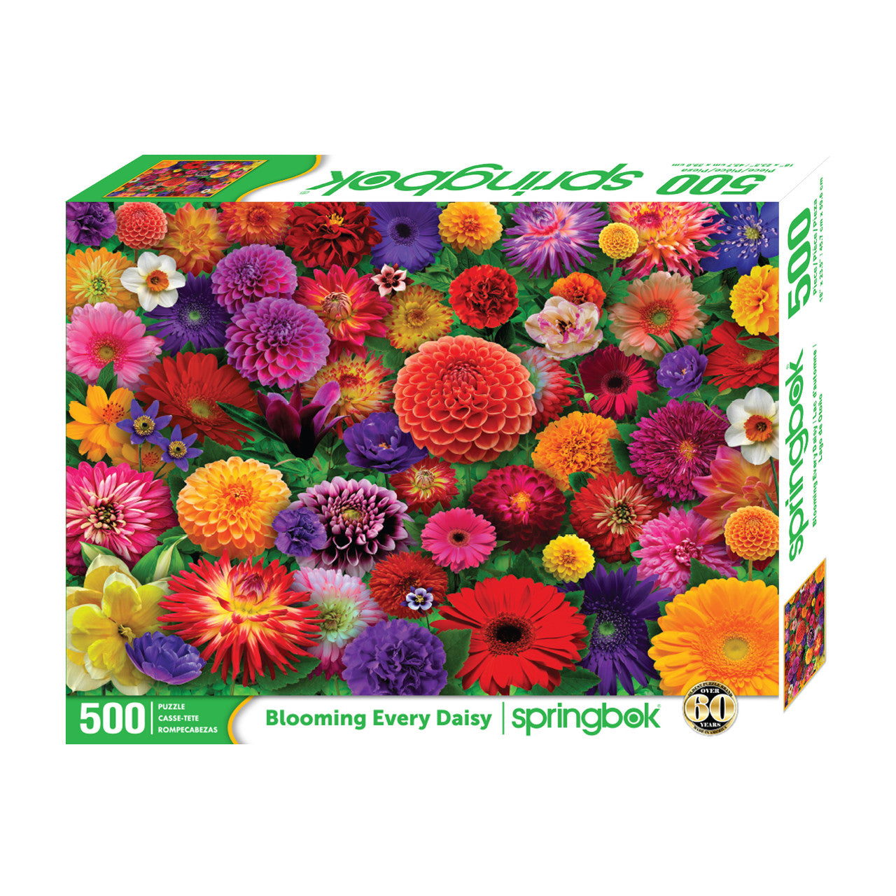 Blooming Every Daisy 500pcs