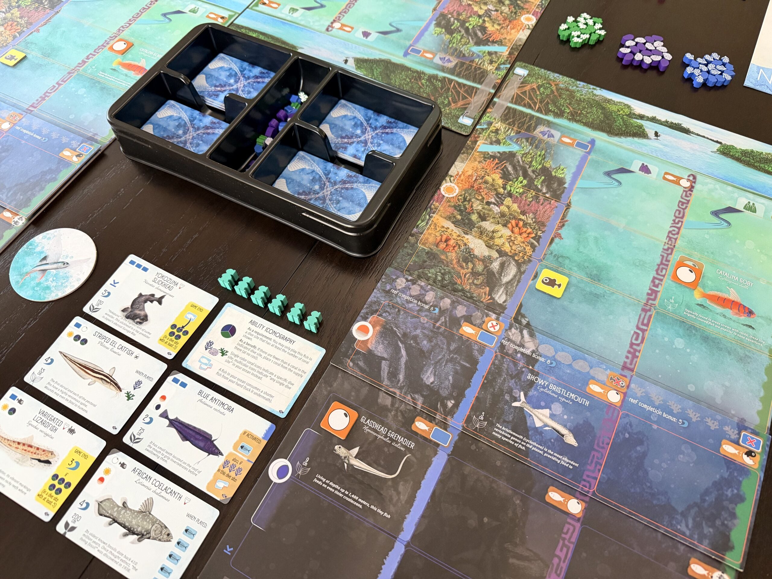 Finspan: Sharks & Reefs Expansion **Pre-Order**