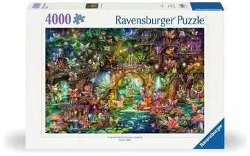 Hidden World of Fairies 4000pcs