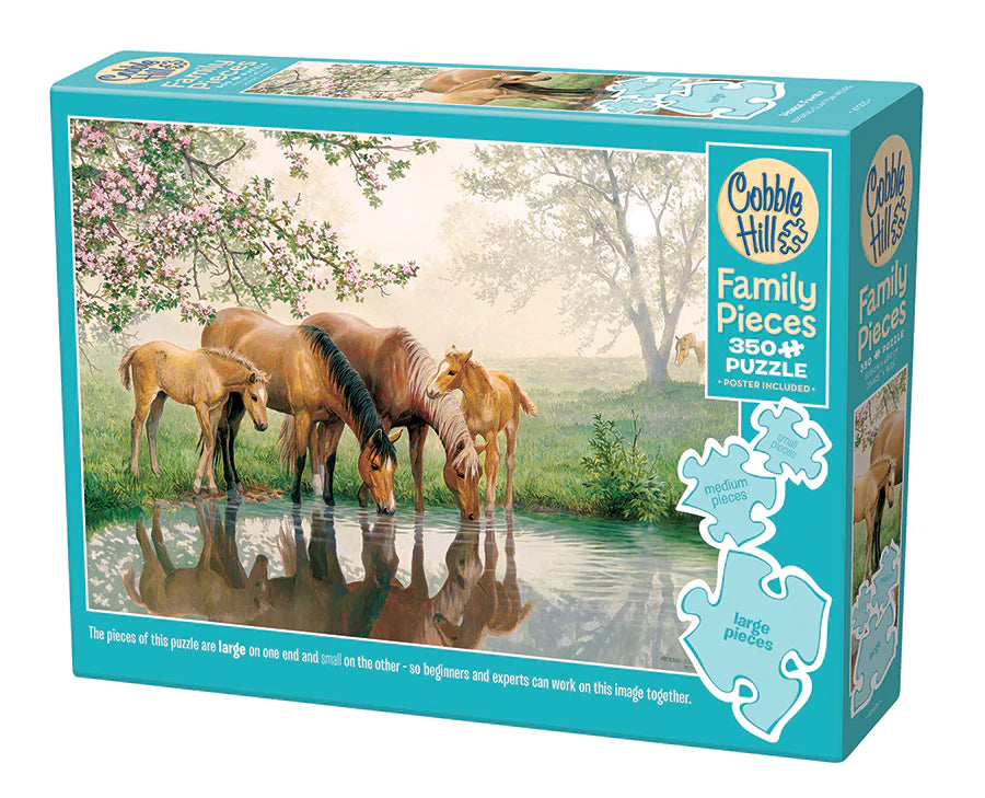 Horse Family 350pcs (Family)