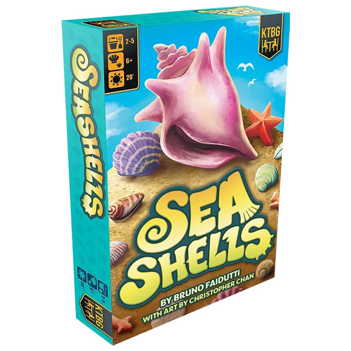 Seashells **Pre-Order**