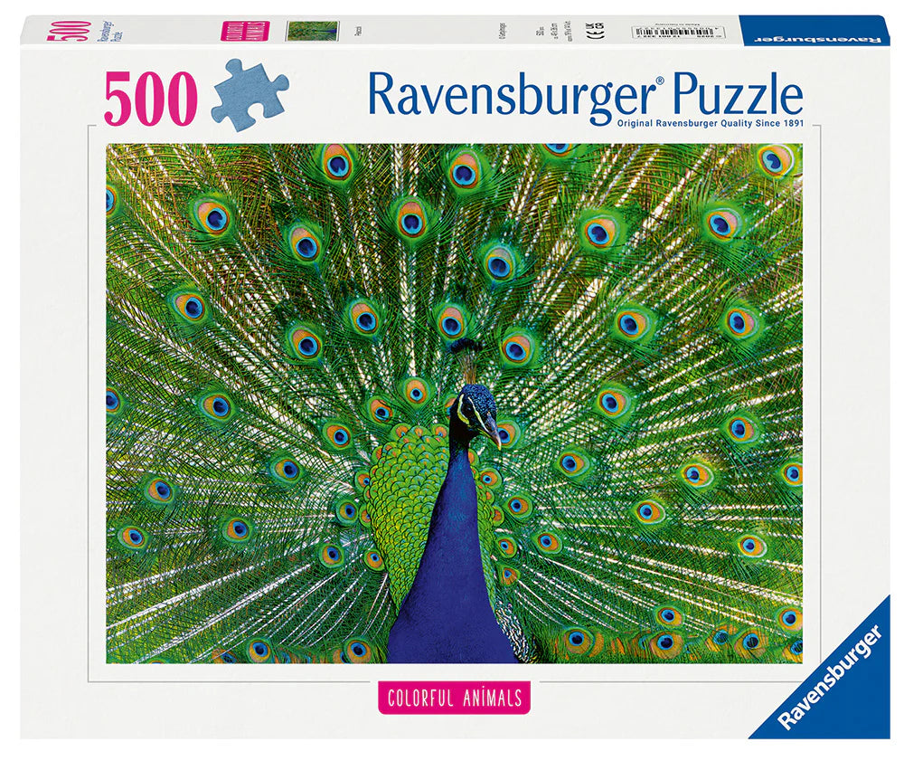 Peacock - 500 Pcs