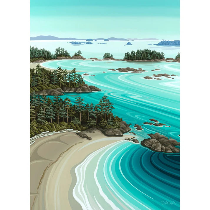 Soaring over Tofino 1000pcs