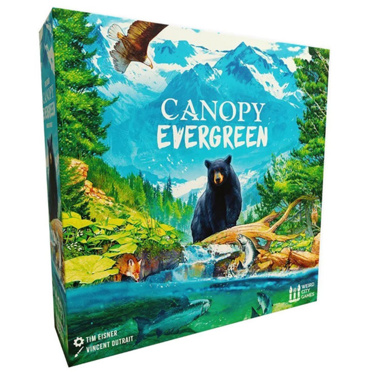 Canopy Evergreen