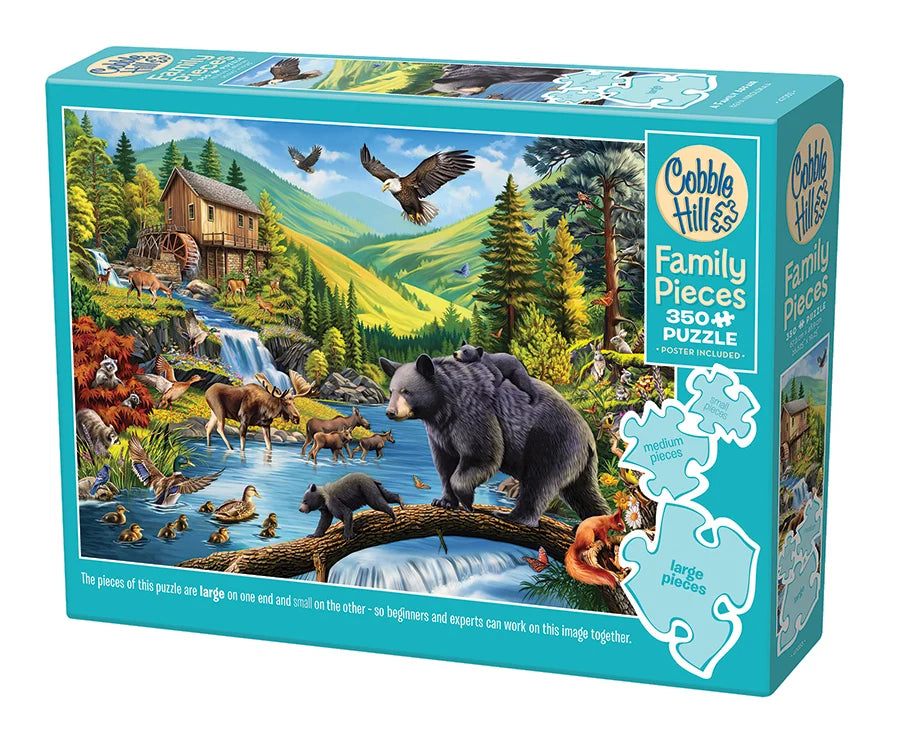 A Family Affair 350pcs (Family)