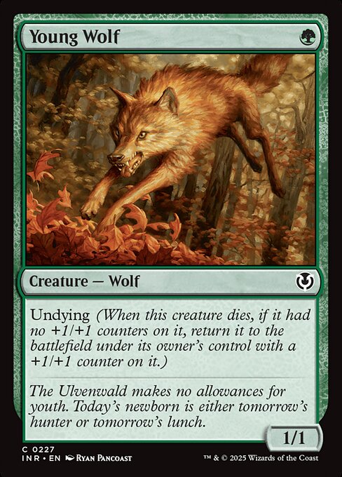 Young Wolf - Innistrad Remastered - 227