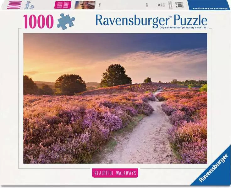 Pink Pathway 1000pcs