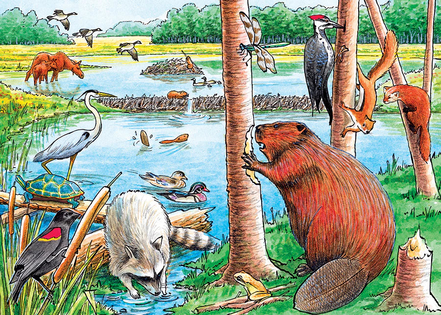 The Beaver Pond (Tray)